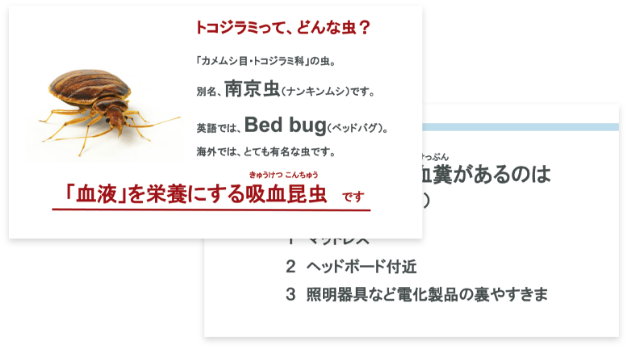e-Leaning for Bed Bug